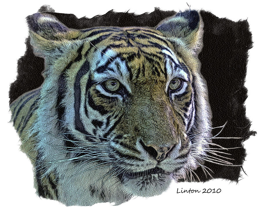 Bengal Tiger #1 Digital Art by Larry Linton