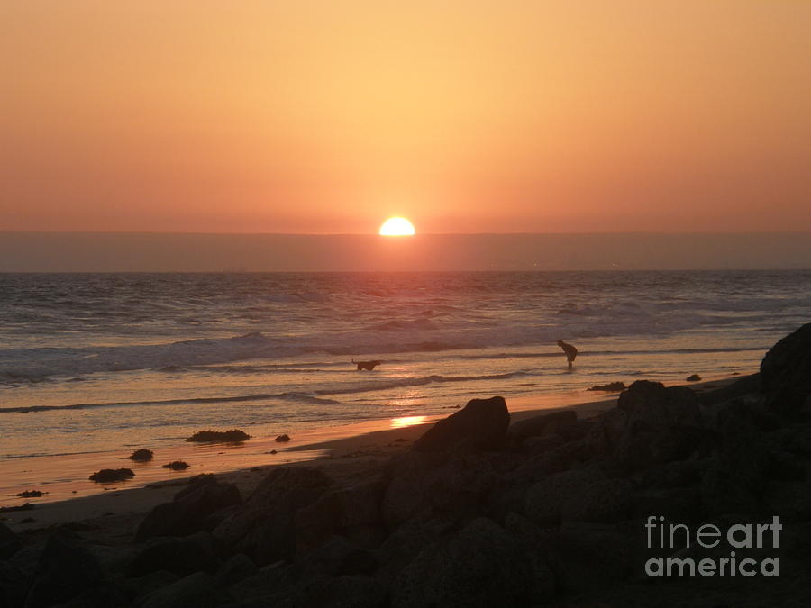 Sunset Photograph - Best Friends at the Beach #3 by Leah McPhail