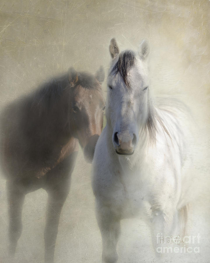 Horse Photograph - Best Friends by Betty LaRue