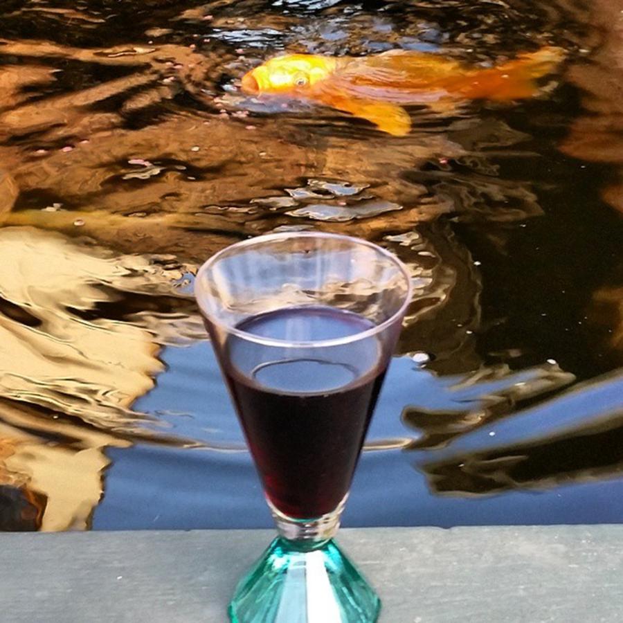 Cheers Photograph - #beyondtheglass 😆 #wineoclock #1 by Jaynie Lea