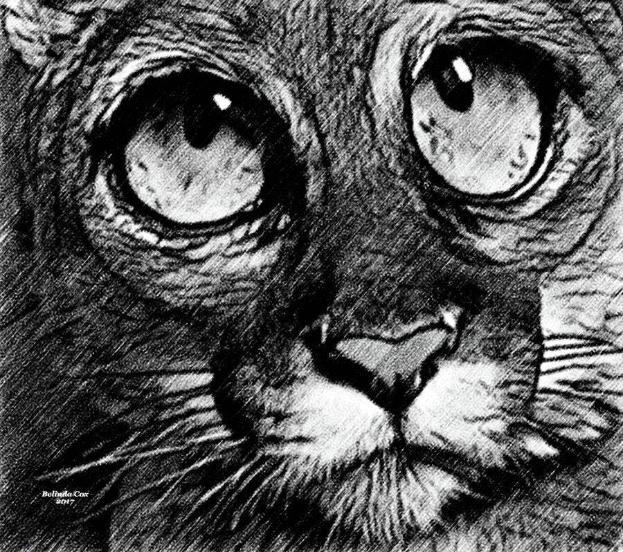 Big Eye Leopard Digital Art by Artful Oasis