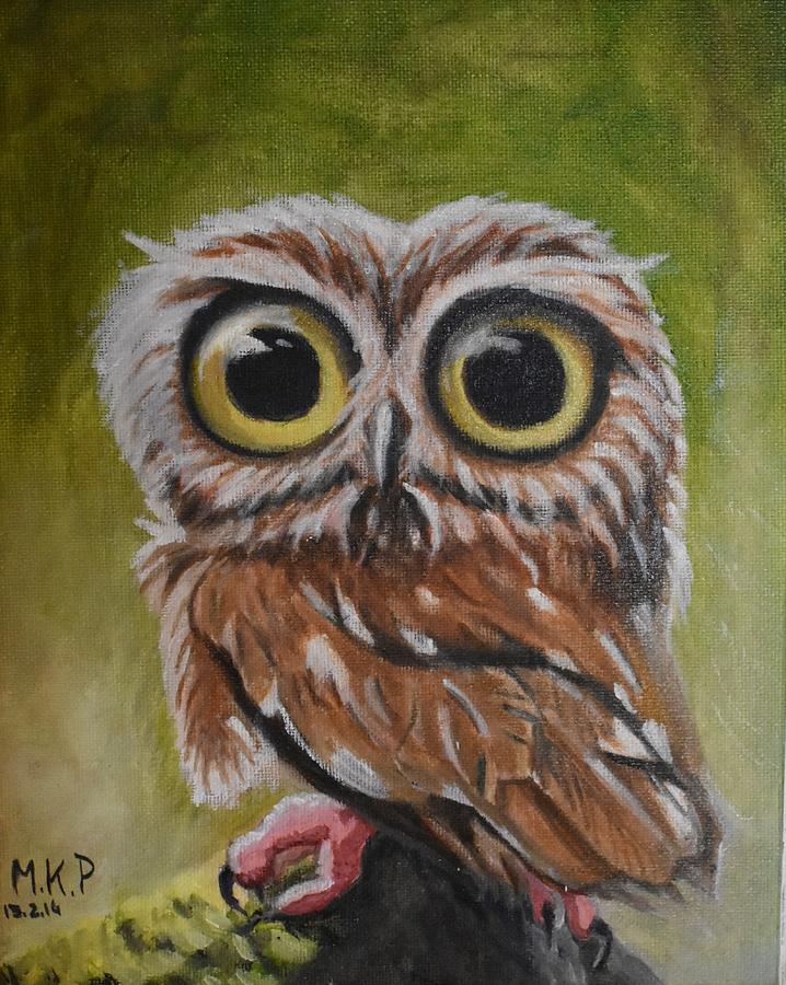 Big Eye Owl Painting by Marta Pawlowski