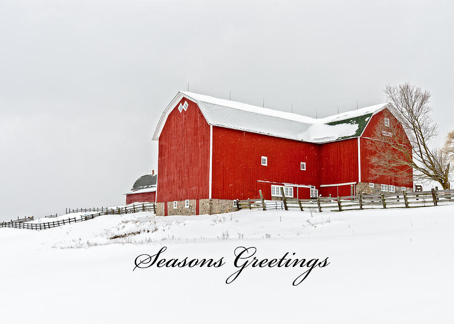 Big Red Greeting Card Photograph by Steve LItalien