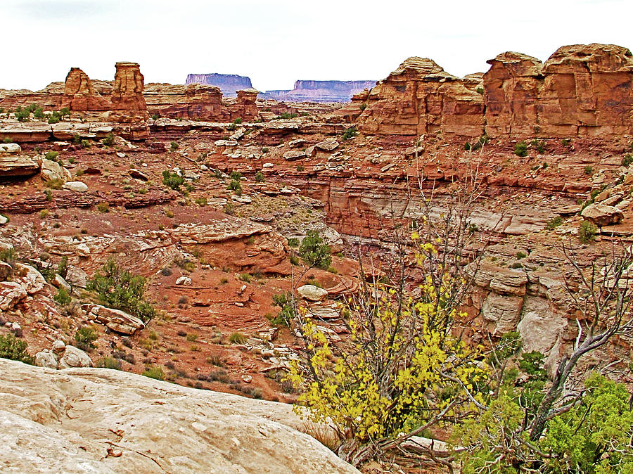Big Spring Canyon Overlook in Needles District in Canyonlands National Park, Utah #1 Photograph by Ruth Hager