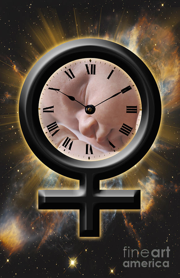 Biological Clock #1 Photograph by George Mattei