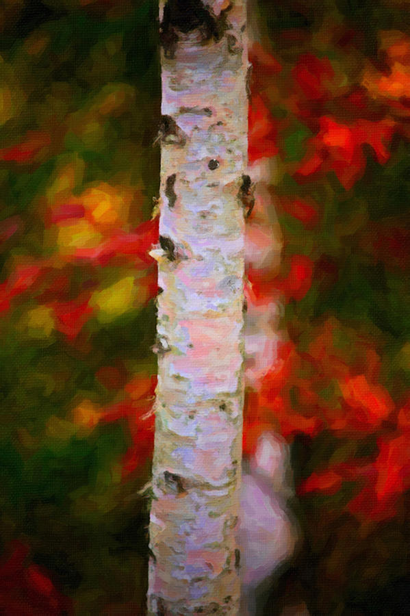 Birch Tree #1 Painting by Prince Andre Faubert