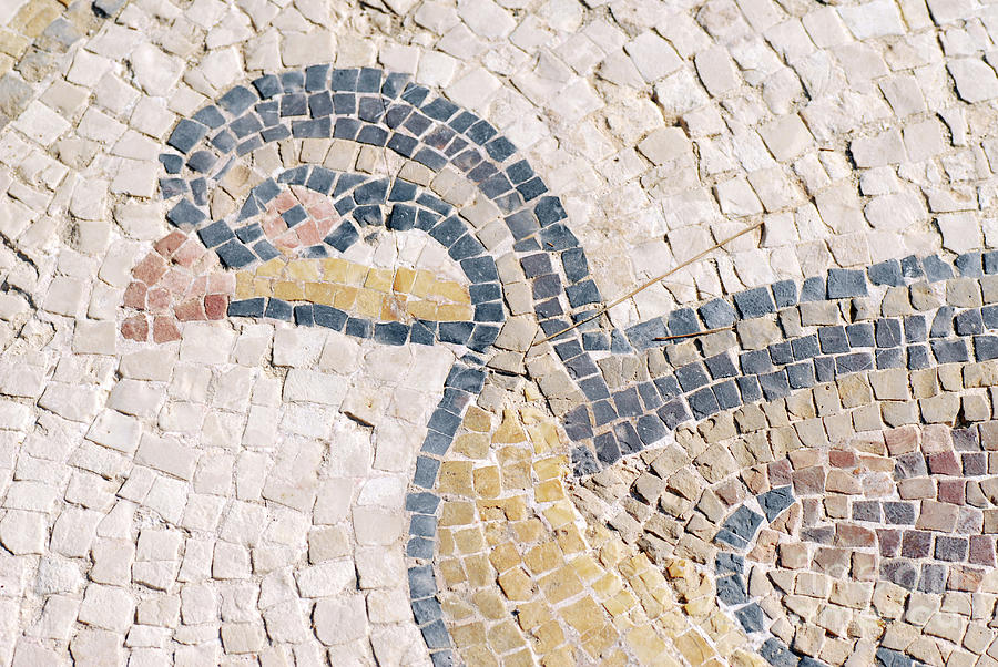 Bird Mosaic #1 Photograph by Tal Bedrack