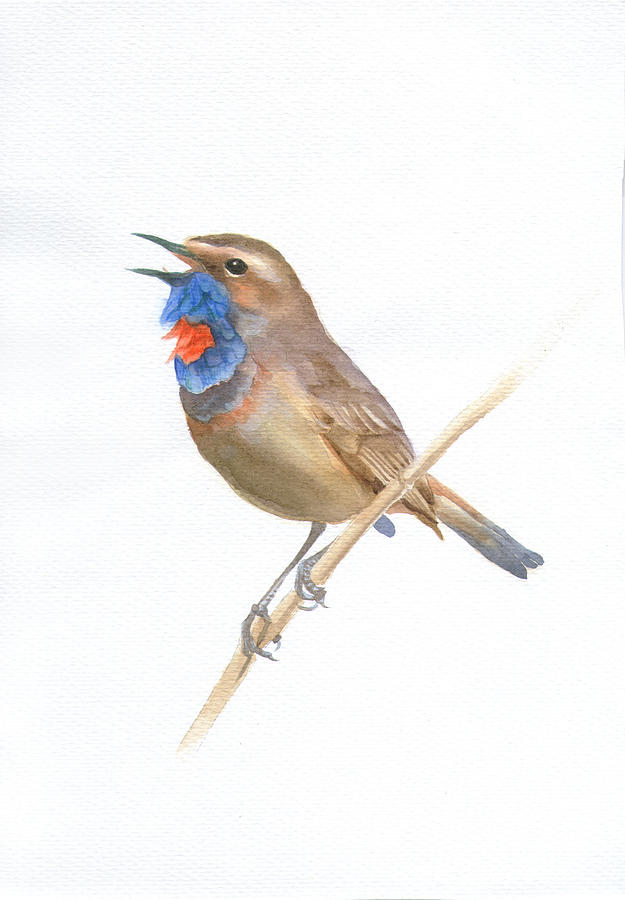 Bird Painting #1 Painting by Tina Zhou