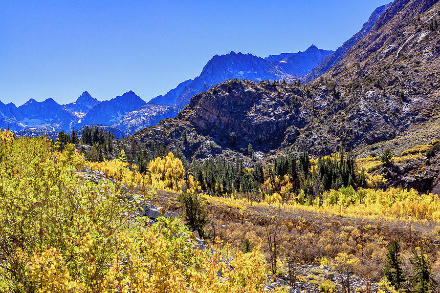 Bishop Creek Eastern Sierras  #1 Photograph by Donald Pash