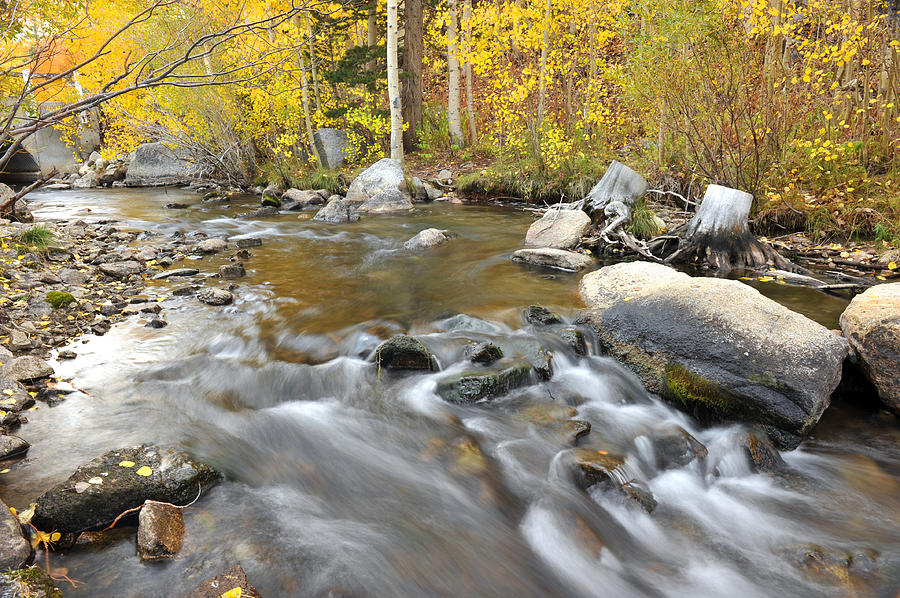 Bishop Creek in the Fall #1 Photograph by Dung Ma