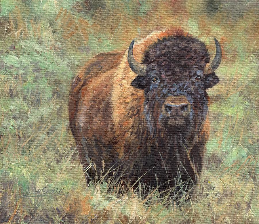 Bison Painting - Bison #1 by David Stribbling