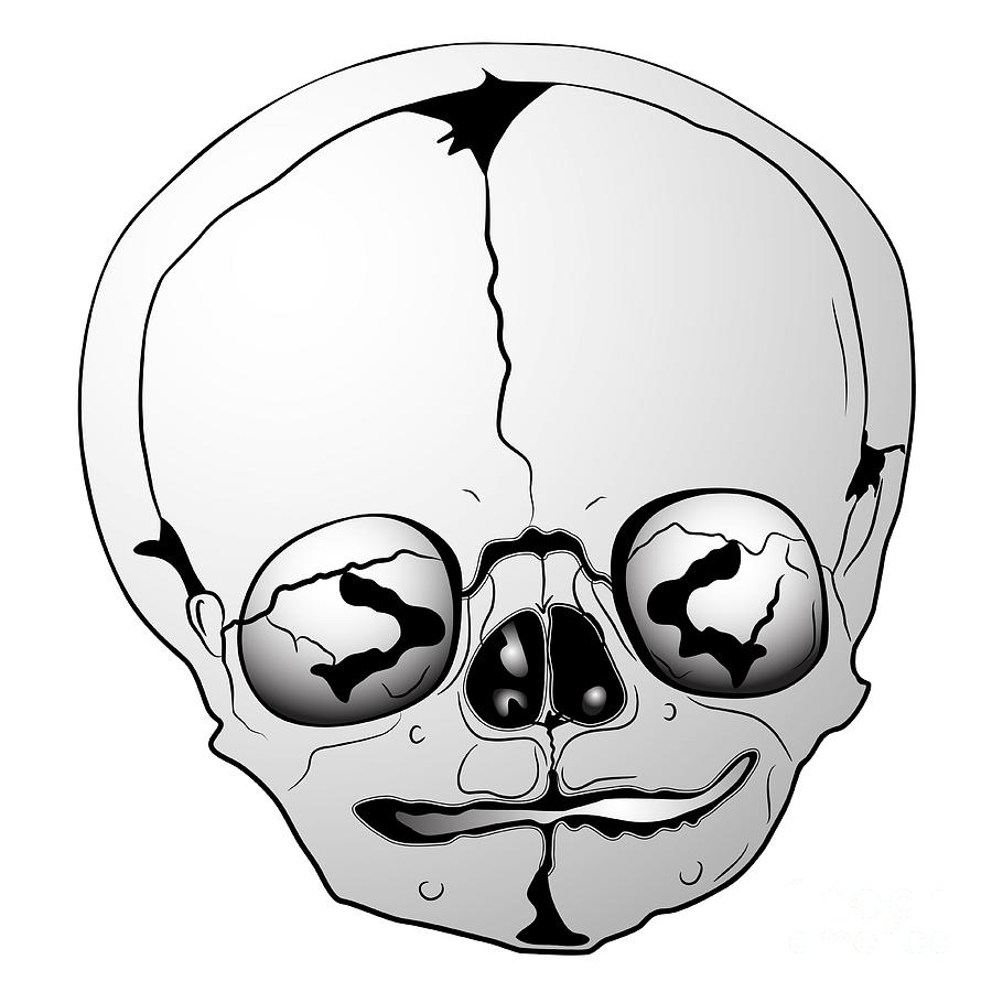 Bizarre skull #1 Digital Art by Michal Boubin