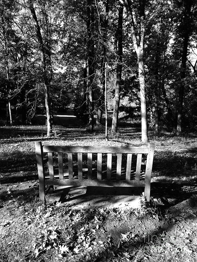 Black And White Bench #1 Photograph by Phil Perkins