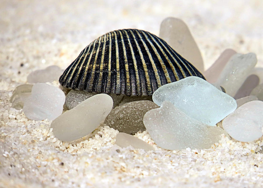 Black and White Sea Glass Photograph by Janice Drew