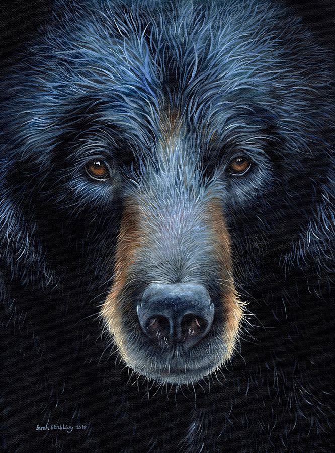Wildlife Painting - Black Bear #2 by Sarah Stribbling