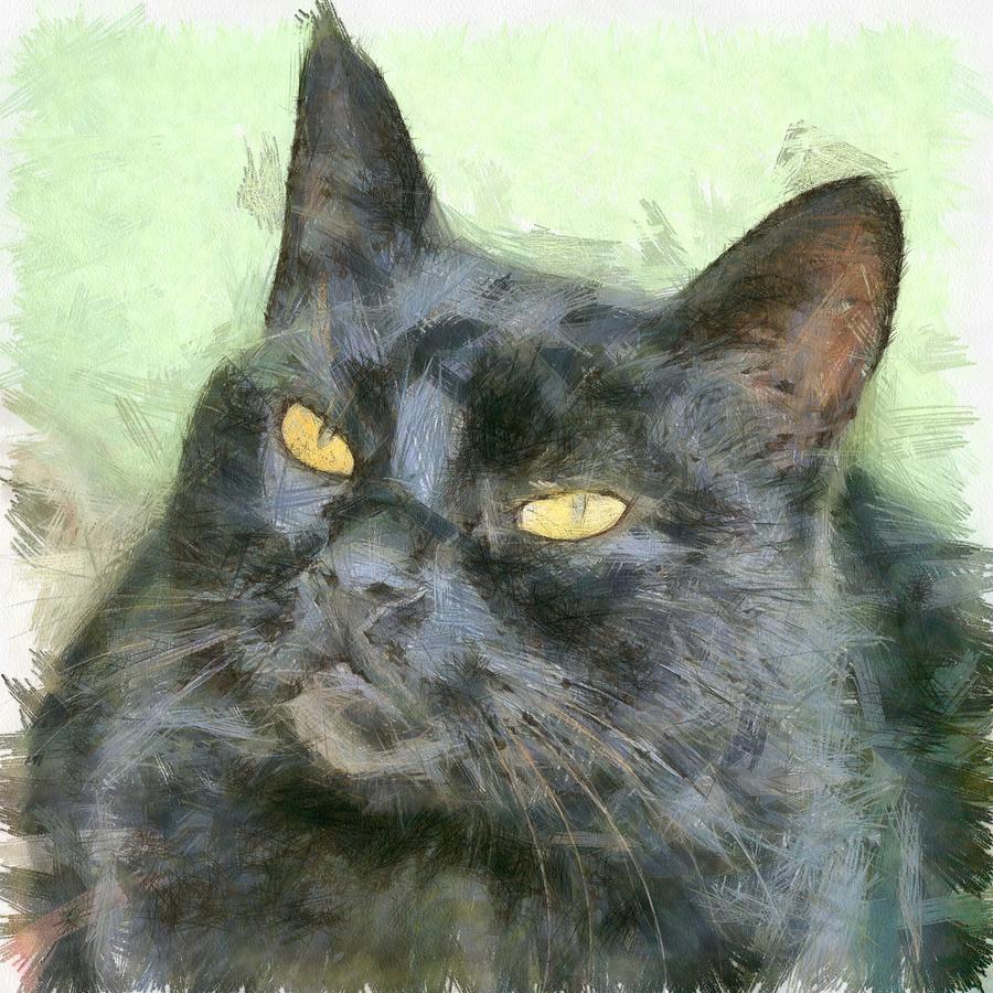 Black Cat #1 Drawing by Taiche Acrylic Art