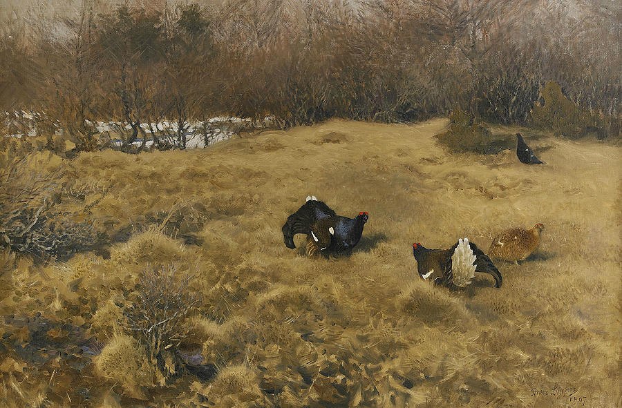 Black Grouse Displaying Painting by Bruno Liljefors