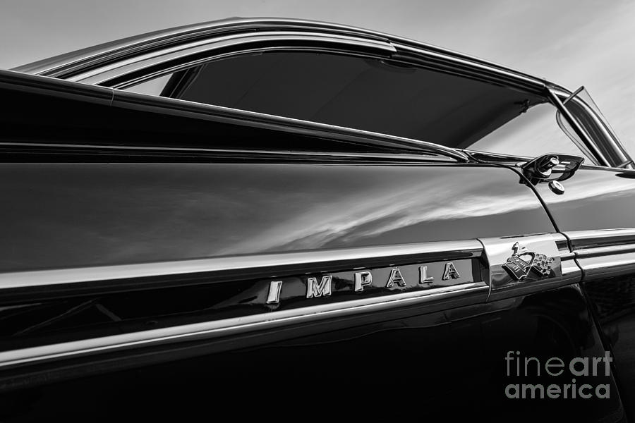 Black Impala #2 Photograph by Dennis Hedberg
