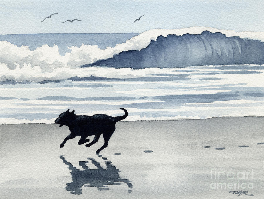 Bird Painting - Black Lab At The Beach #1 by David Rogers