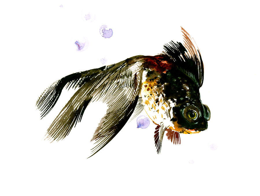 Fish Painting - Black Moor #1 by Suren Nersisyan