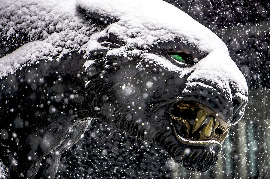 Black Panther Statue Seen Through Falling Snow Flakes #1 Photograph by Alex Grichenko