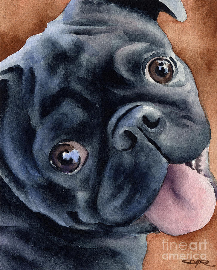 Dog Painting - Black Pug #3 by David Rogers