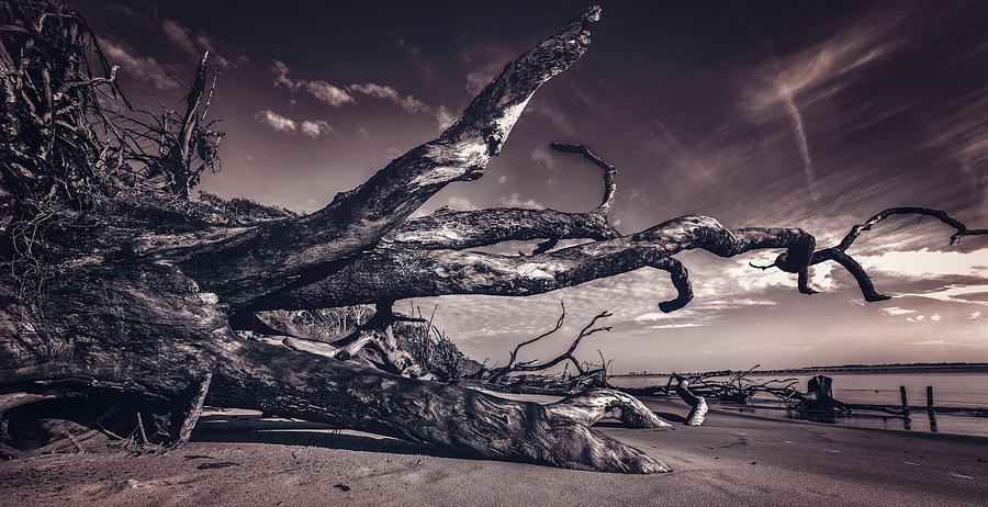 Black Rock Beach #1 Photograph by Peter Lakomy