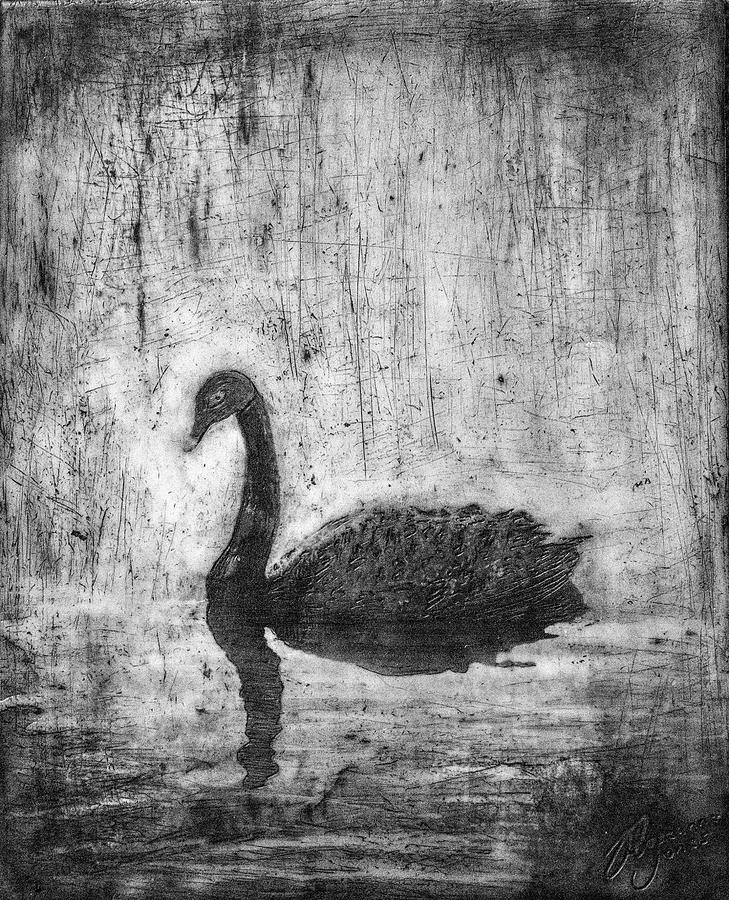 Black Swan Mixed Media by Roseanne Jones