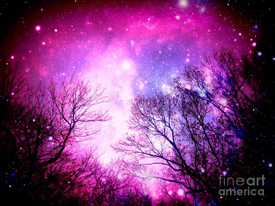 Black Trees Pink Space #2 Photograph by Johari Smith - Pixels Merch