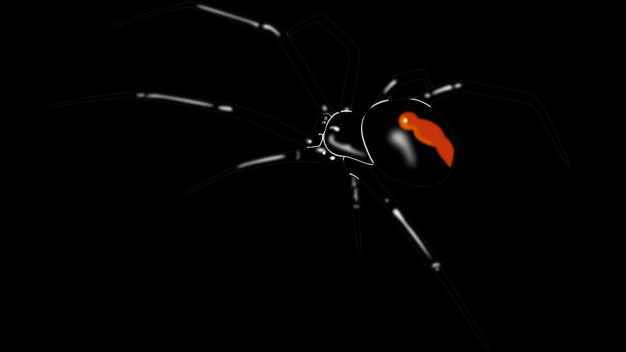 Black Widow Digital Art - Black Widow #1 by Maye Loeser