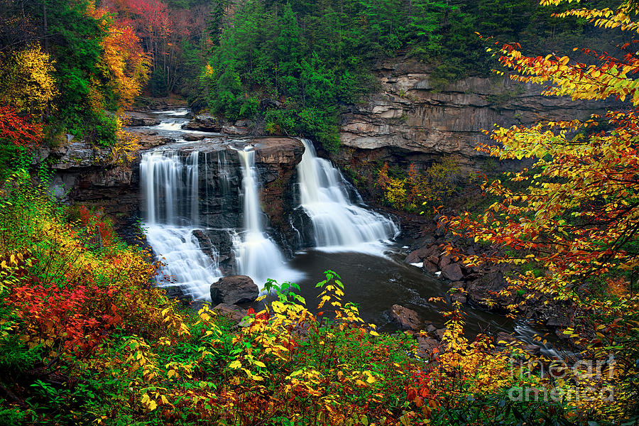 Blackwater Falls State Park Photograph by Emmanuel Panagiotakis