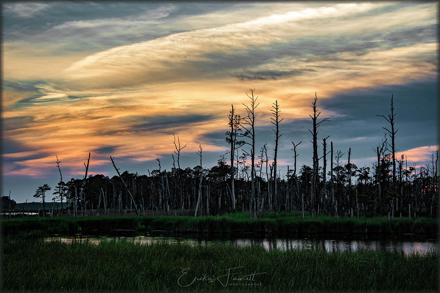 Blackwater Sunset #1 Photograph by Erika Fawcett