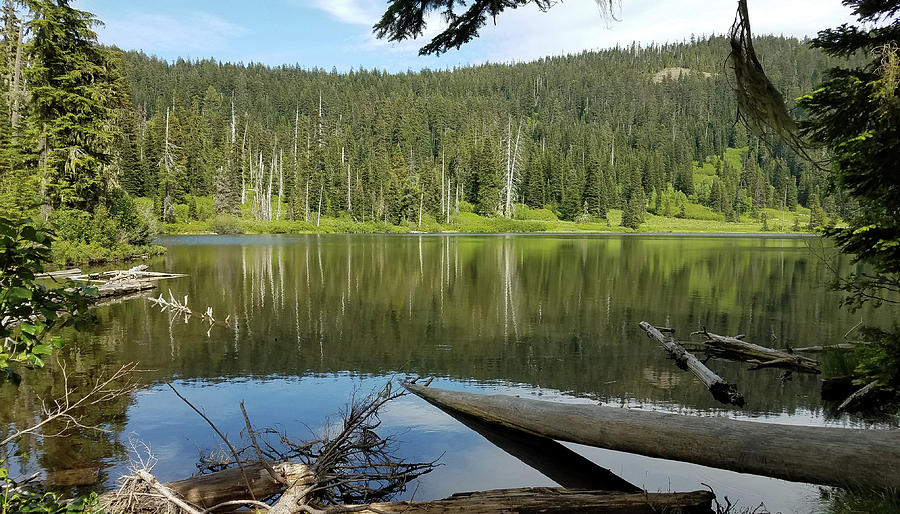 Escape to Serenity: Your Guide to Blair Lake State Recreation Site