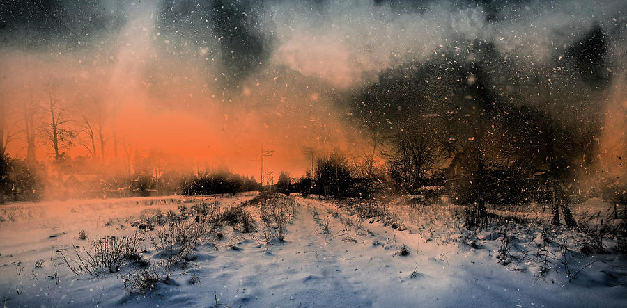 Blizzard In Latvia  Photograph by Aleksandrs Drozdovs