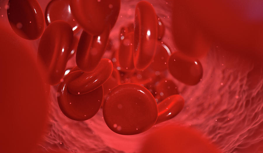 Blood Cells In A Vein Digital Art by Allan Swart - Fine Art America