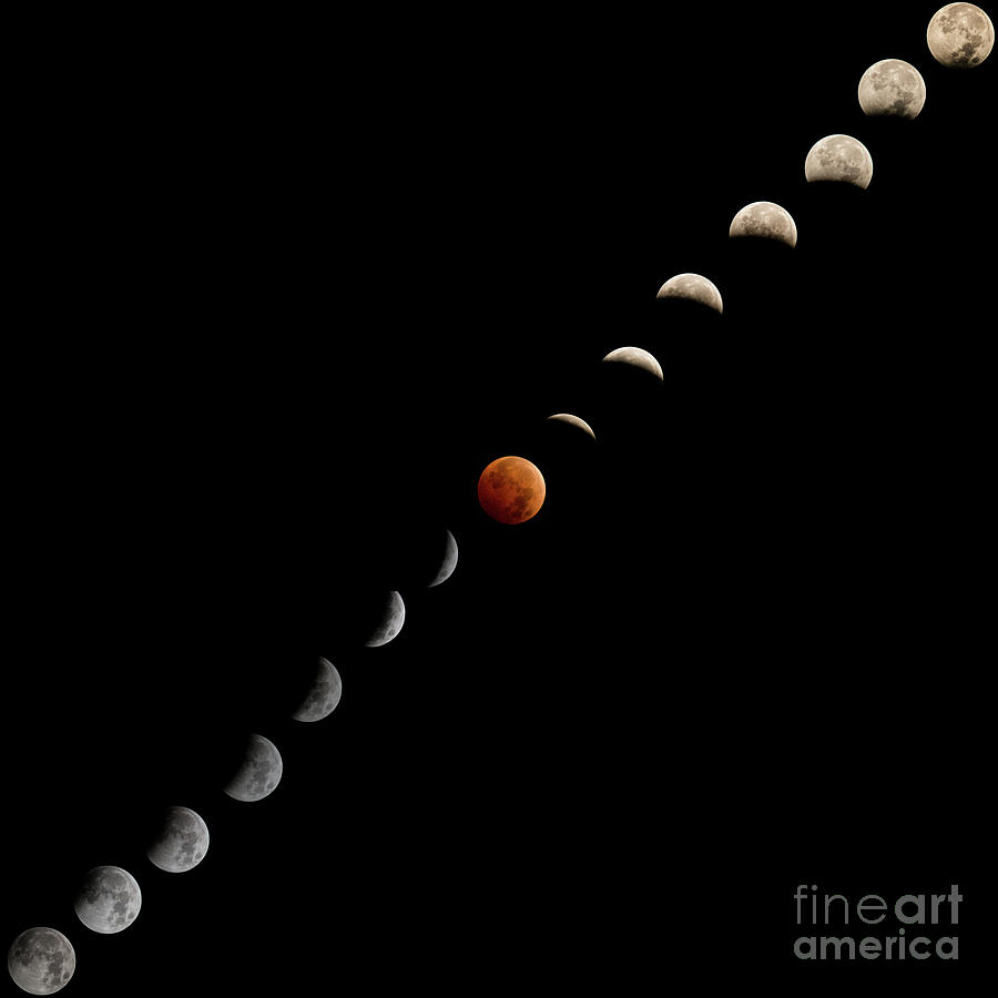Blood Moon Eclipse #1 Photograph by Mark Jackson