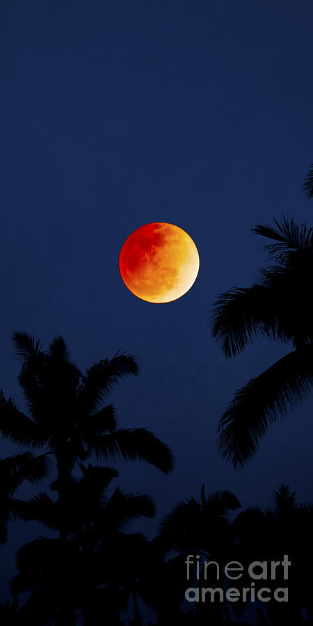 Blood Moon in Hawaii  - Triptych   part 1of 3 #2 Photograph by Sean Davey