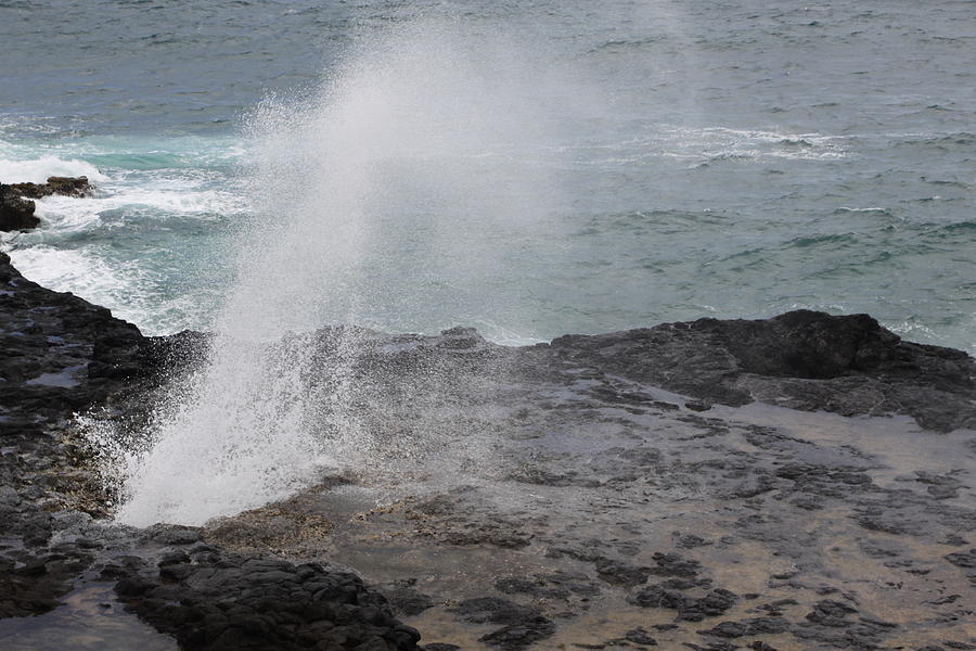 Blow Hole Photograph by Dick Willis - Fine Art America