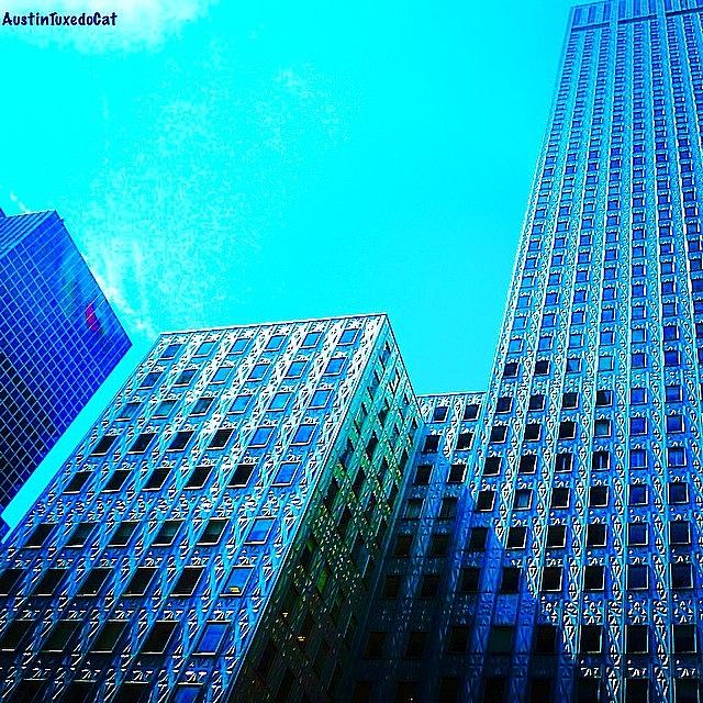 Skyscraper Photograph - #blue #buildings And #bluesky On A #1 by Austin Tuxedo Cat