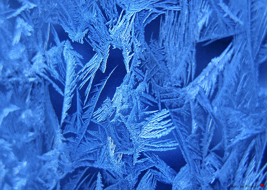 Blue Christmas #1 Photograph by Rhonda McDougall