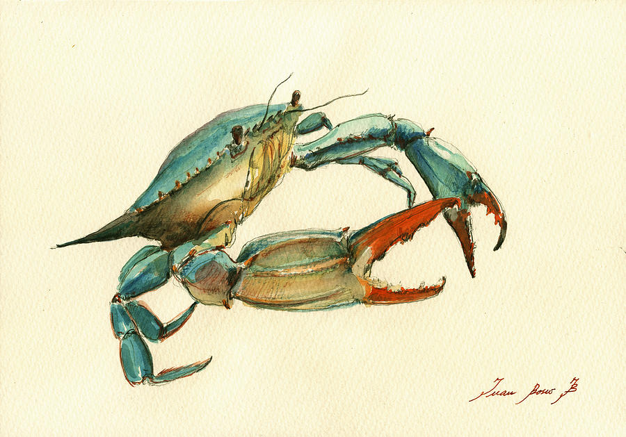 Blue Crab Painting - Blue Crab painting by Juan  Bosco