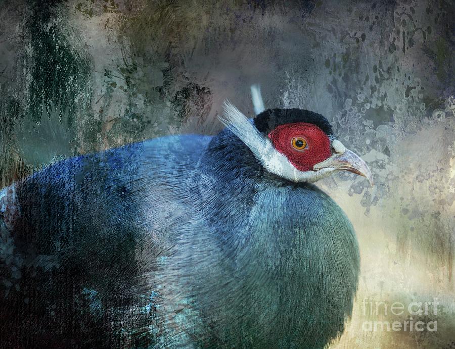 Abstract Photograph - Blue-Eared Pheasant #2 by Eva Lechner