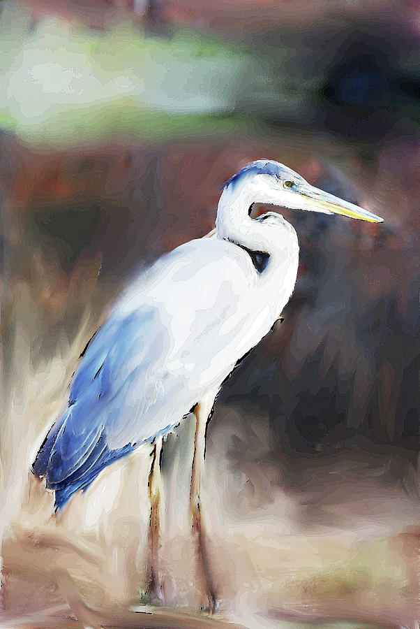 Blue Heron Painting  #1 Digital Art by Don Wright