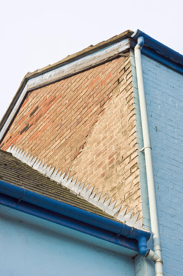Architecture Photograph - Blue house #1 by Tom Gowanlock