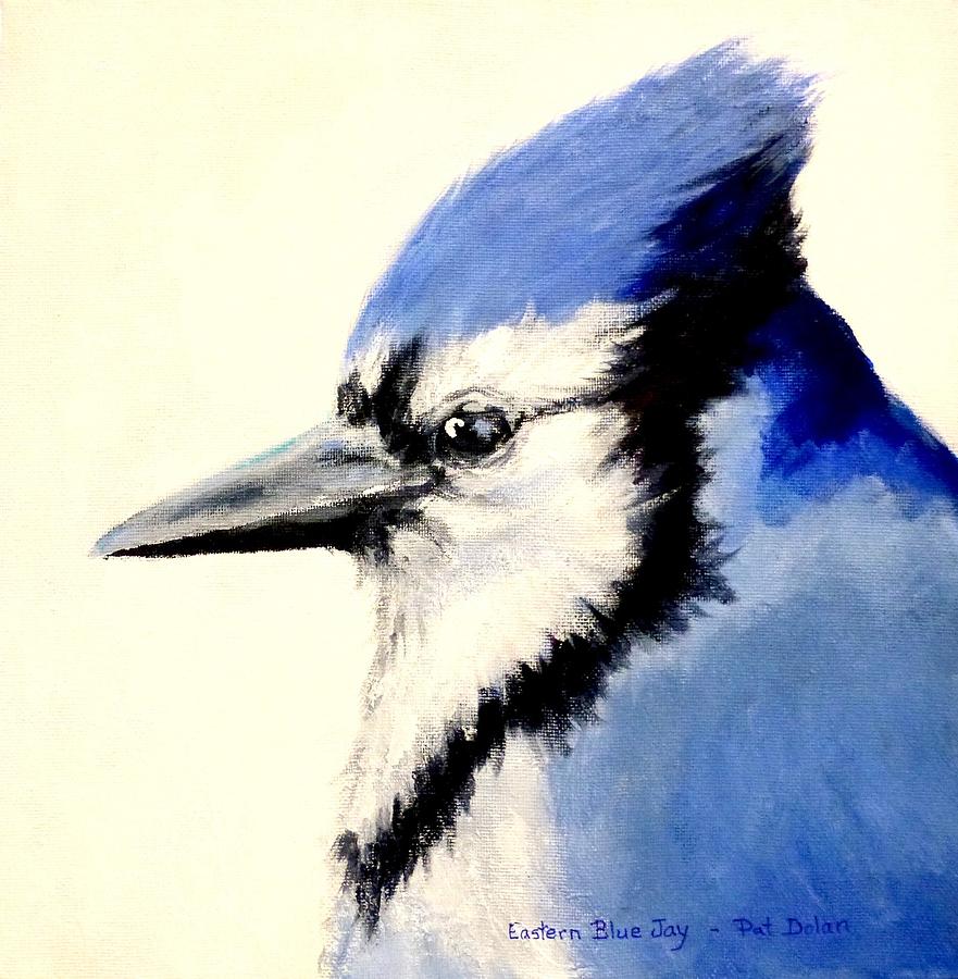 Blue Jay  #2 Painting by Pat Dolan