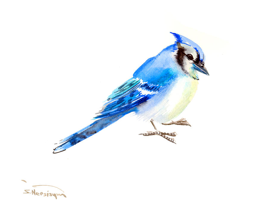 Blue Jay #1 Painting by Suren Nersisyan