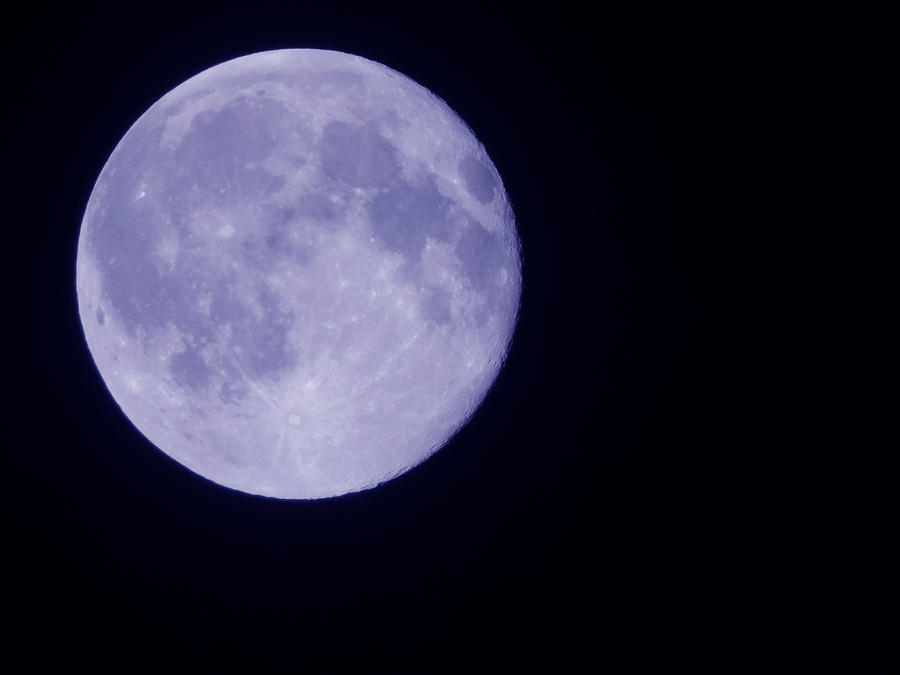 Blue Moon #1 Photograph by Eric Forster
