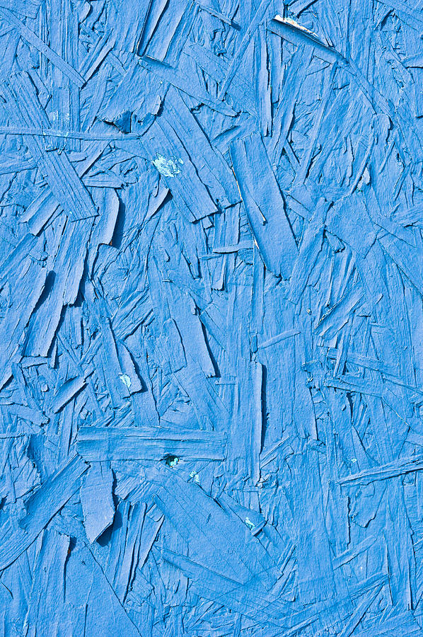 Abstract Photograph - Blue plywood #1 by Tom Gowanlock