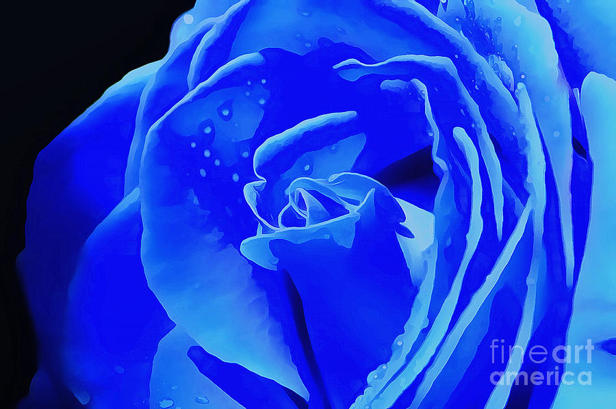 Rose Photograph - Blue Romance #1 by Krissy Katsimbras