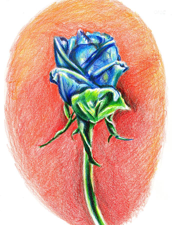 Blue Rose Drawing by Krysta Logan | Fine Art America